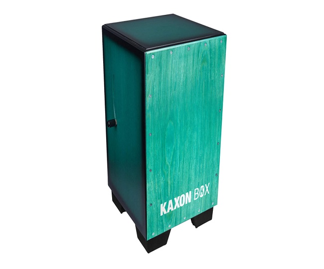 Best Cajon Instruments in India